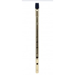 Glenluce Wexford High D Whistle Nickle Finish