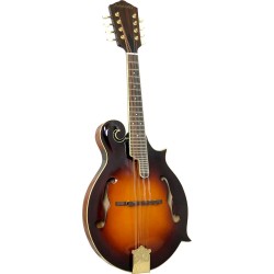 Ashbury F Style Bluegrass Mandolin