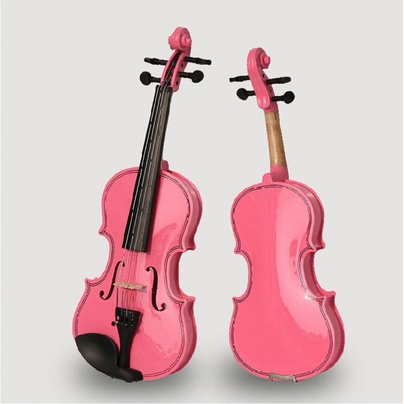 Violin Fiddle lessons