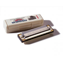 Hohner Big River 10 hole G Harmonica 590/20 in Case