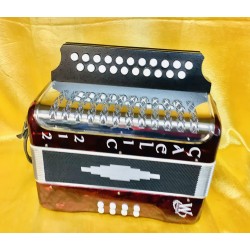 Weltmeister D/G Gaelic 212 2 Voice Button Accordion Used