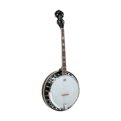 New Boorinwood TB-45 Irish Tenor Banjo