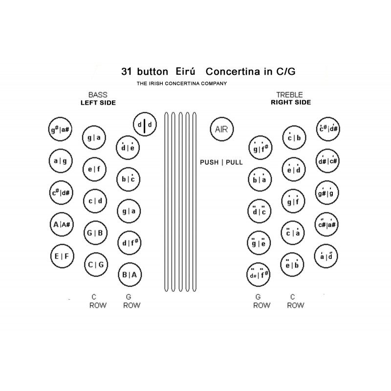 New Eiru Gold C/C 30 Button Anglo Concertina Walnut Jeffries Layout